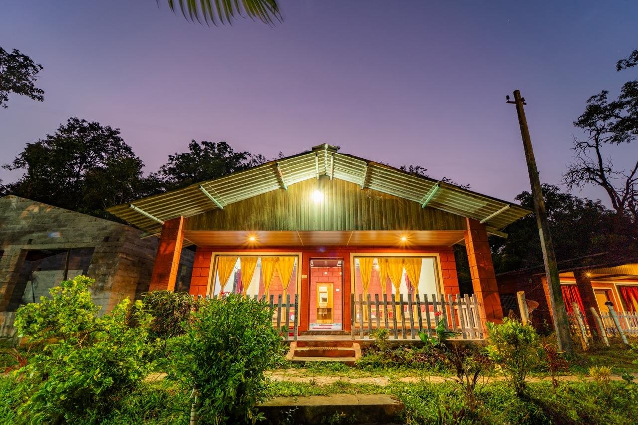 Jungle Hammock Relaxation